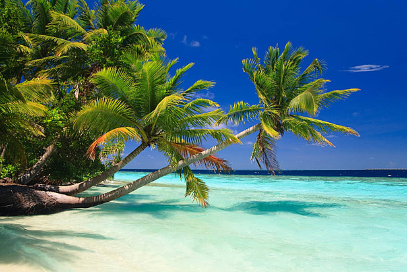 The Best Resorts for Your Maldives Honeymoon