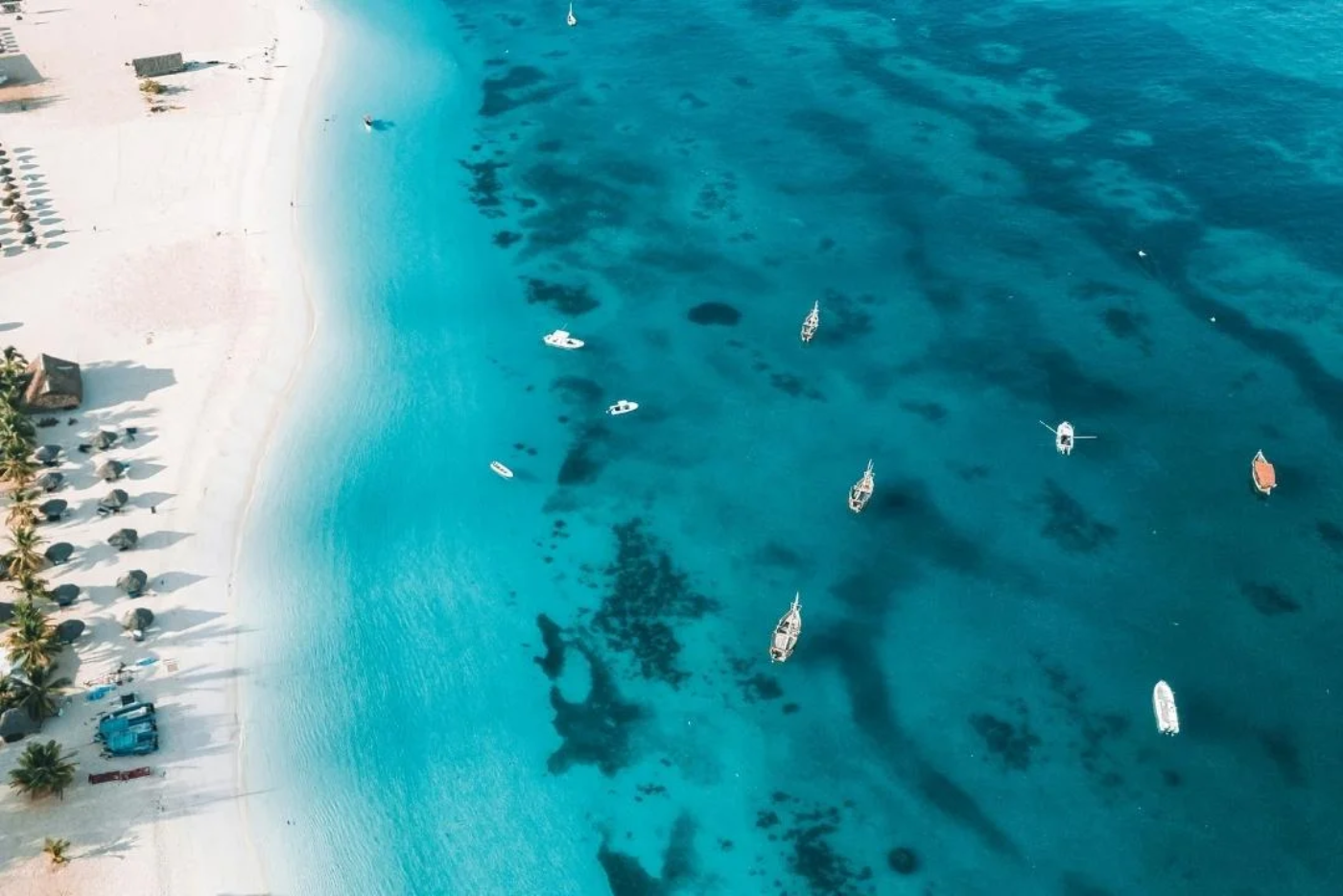 Discover Zanzibar