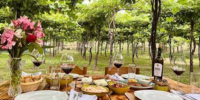 Lunch at a Family-Run Winery in the Hills